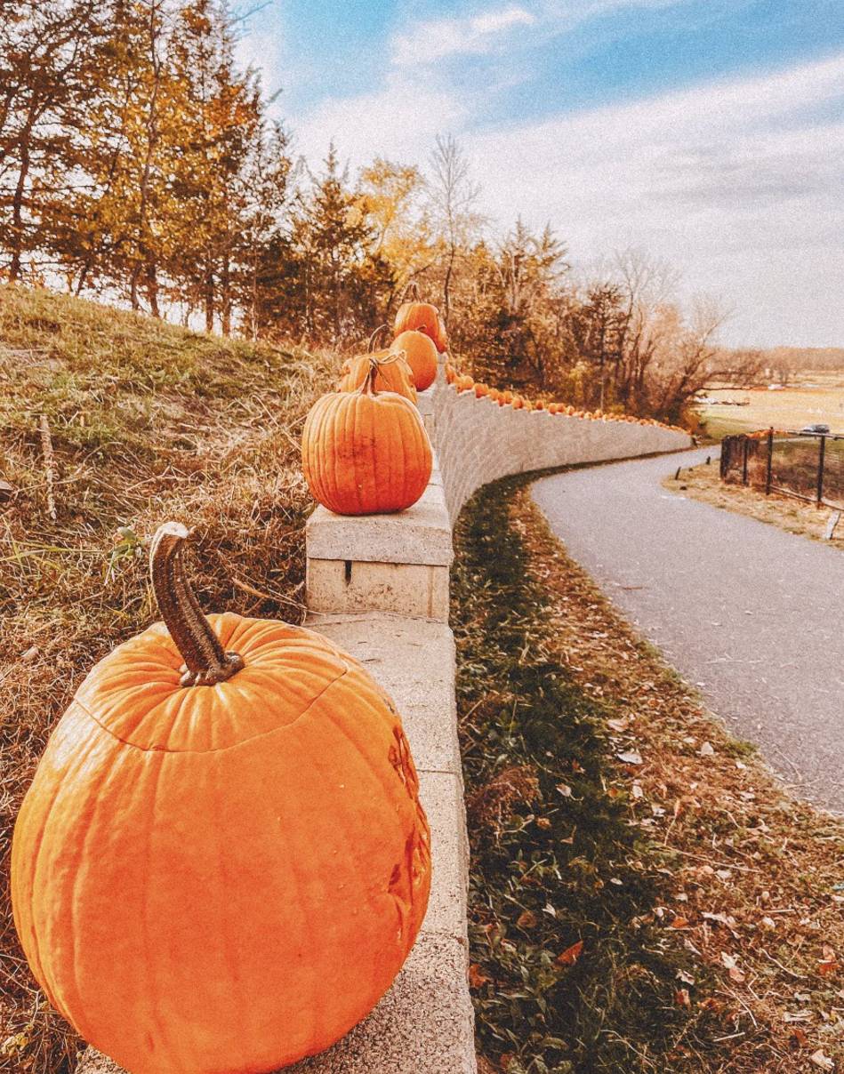 Screenshot 2025-12-15 123121 - Copy